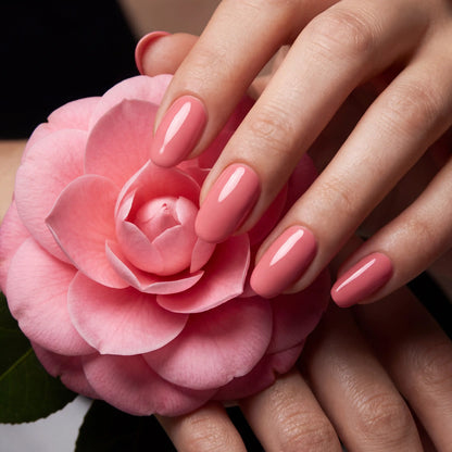086 камелия