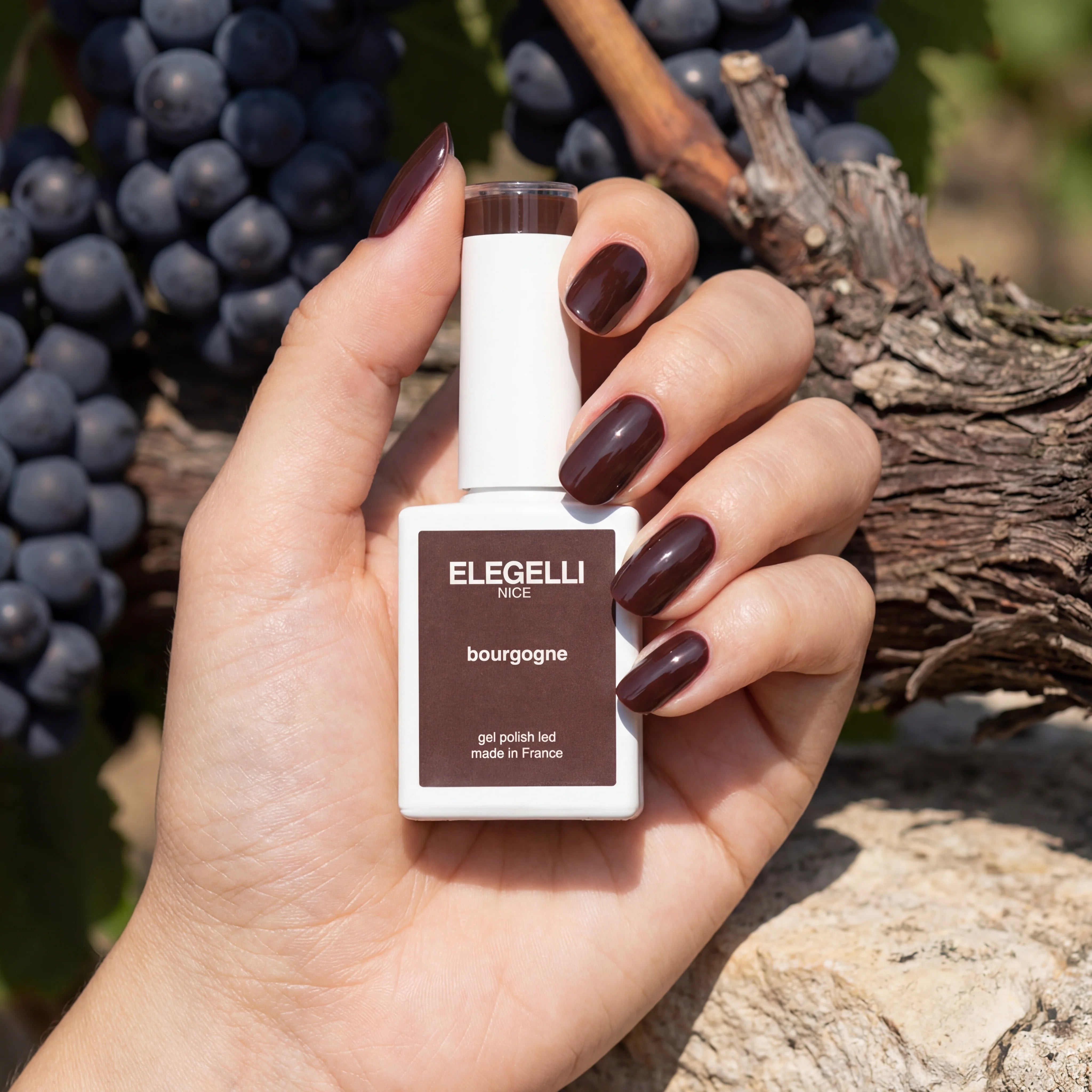 182 Бургунді