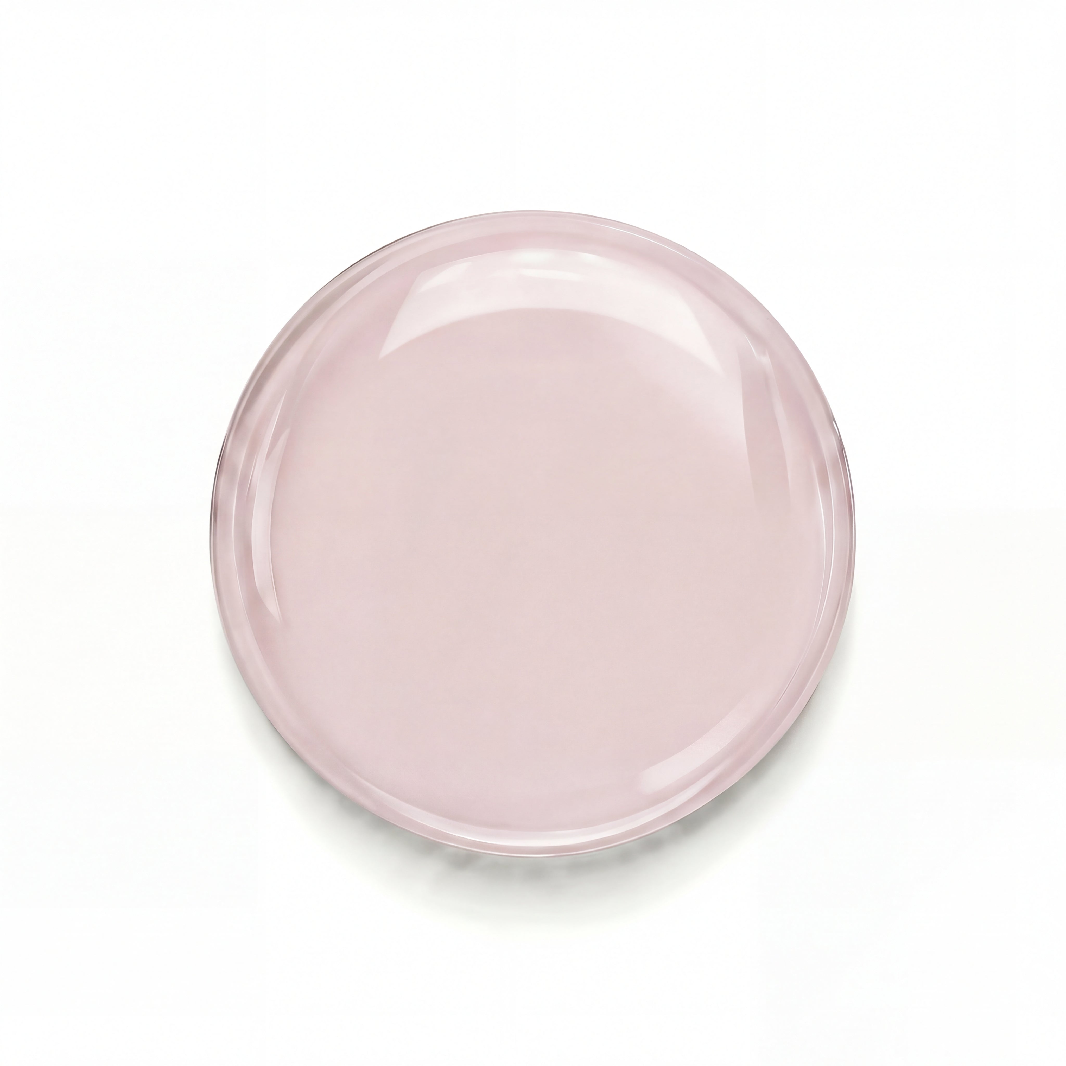 B004 Róża Wiatrów